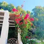 아파트 Despertar Azul 알테아